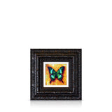 emerald swallowtail - 6" x 6"