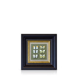 orange tip male and female bathwhite - 6" x 6"