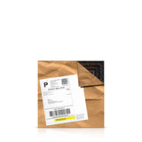 scarce swallowtail - 6" x 6"