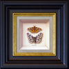 emperor moth (male & female) - 6" x 6"