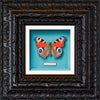 peacock butterfly - sold! 🎉🥳