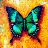 emerald swallowtail - 6" x 6"