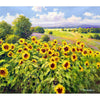 fields of gold - sold! 🎉🥳