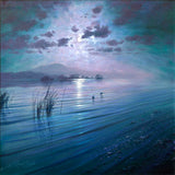 moonlight sparkle across lakeland - sold! 🎉🥳